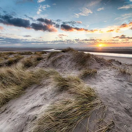 In Duinbergen Near The Apartman *