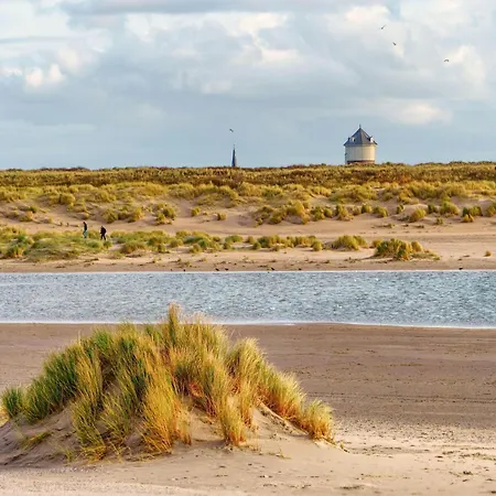 In Duinbergen Near The Apartment