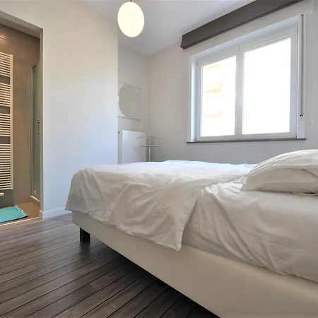 In Duinbergen Near The Apartman