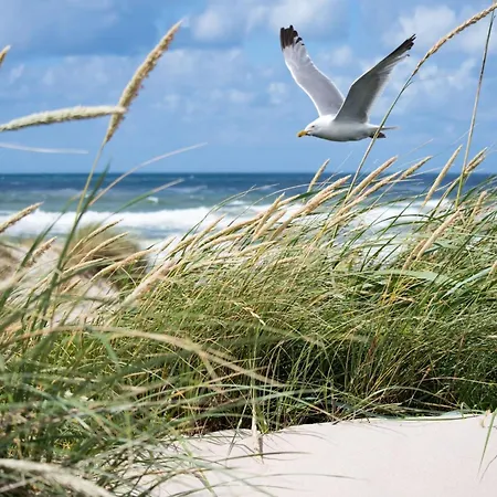 In Duinbergen Near The Apartment Knokke-Heist